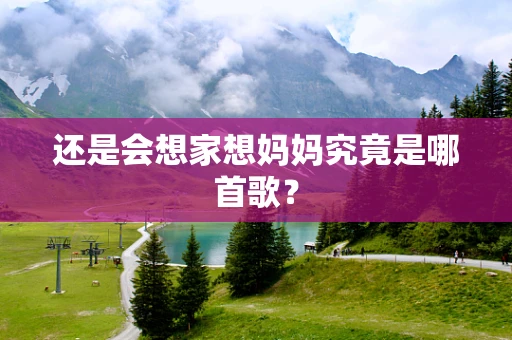 还是会想家想妈妈究竟是哪首歌？