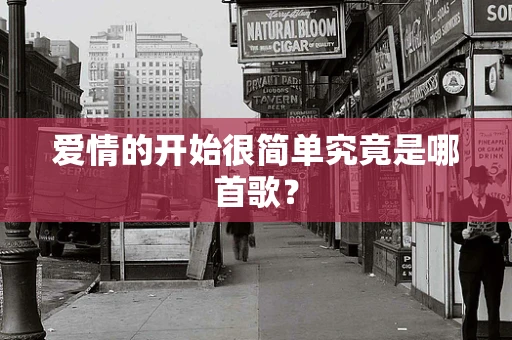 爱情的开始很简单究竟是哪首歌？