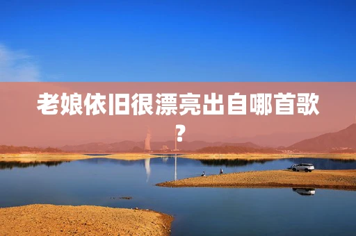 老娘依旧很漂亮出自哪首歌？