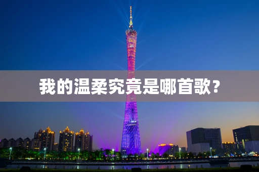 我的温柔究竟是哪首歌？