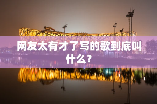 网友太有才了写的歌到底叫什么？
