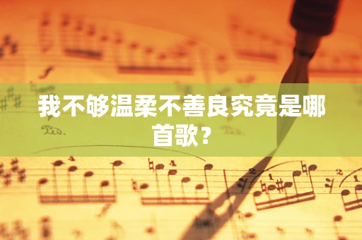 我不够温柔不善良究竟是哪首歌？
