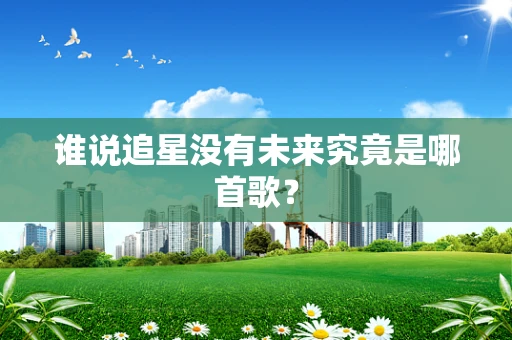 谁说追星没有未来究竟是哪首歌？