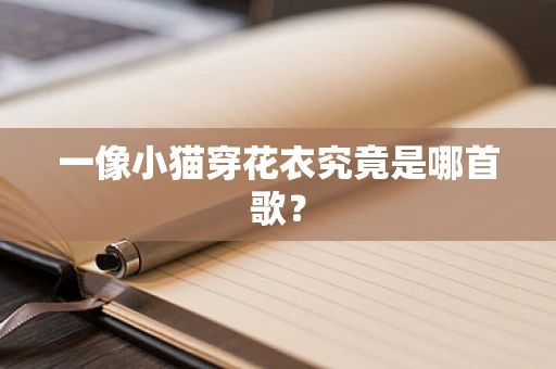 一像小猫穿花衣究竟是哪首歌？