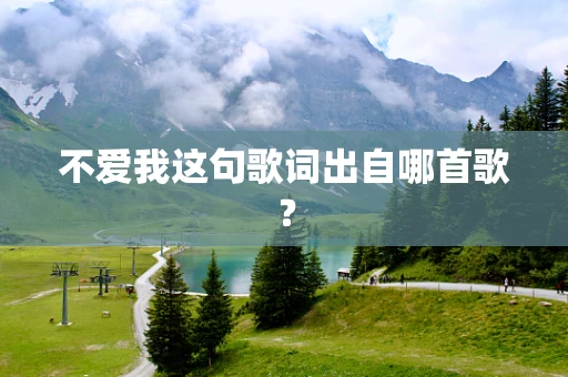 不爱我这句歌词出自哪首歌？