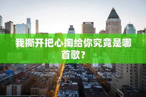 我撕开把心掏给你究竟是哪首歌？