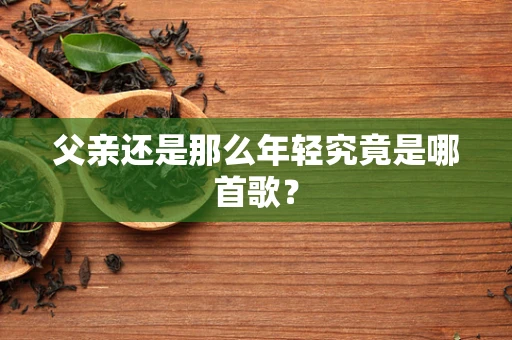 父亲还是那么年轻究竟是哪首歌？