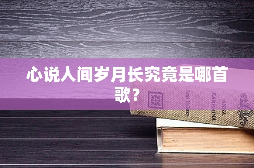 心说人间岁月长究竟是哪首歌？