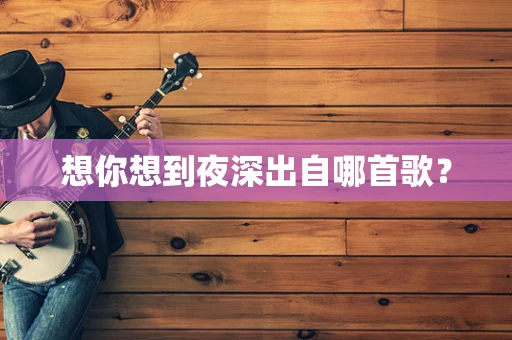 想你想到夜深出自哪首歌？