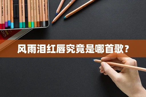 风雨泪红唇究竟是哪首歌？