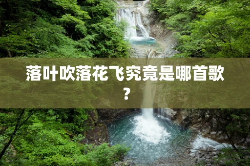 落叶吹落花飞究竟是哪首歌？