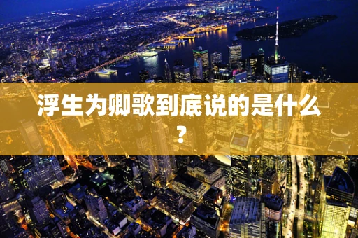 浮生为卿歌到底说的是什么？