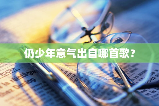 仍少年意气出自哪首歌？