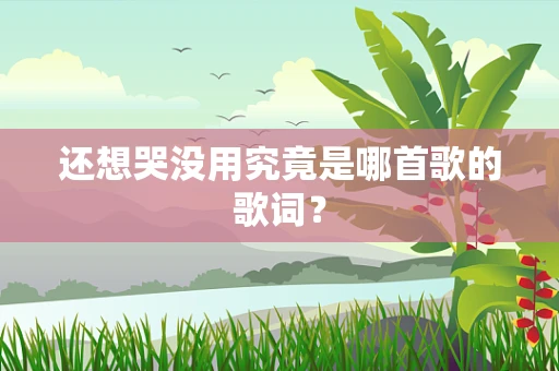 还想哭没用究竟是哪首歌的歌词？