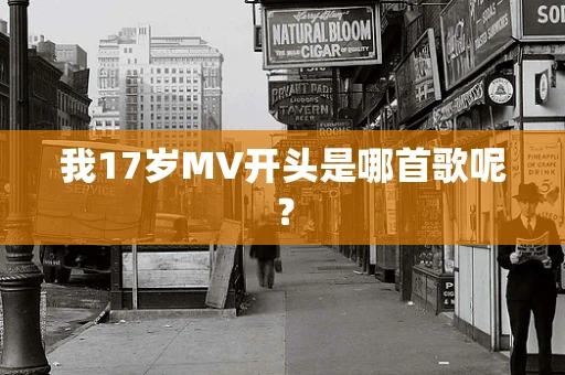 我17岁MV开头是哪首歌呢？