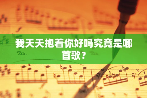 我天天抱着你好吗究竟是哪首歌？