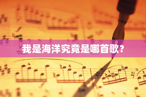 我是海洋究竟是哪首歌？