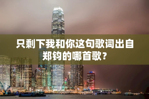 只剩下我和你这句歌词出自郑钧的哪首歌？
