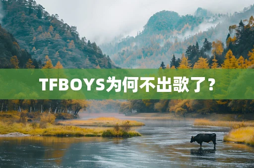 TFBOYS为何不出歌了？