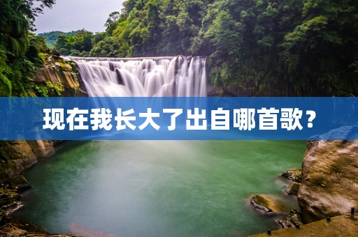 现在我长大了出自哪首歌？