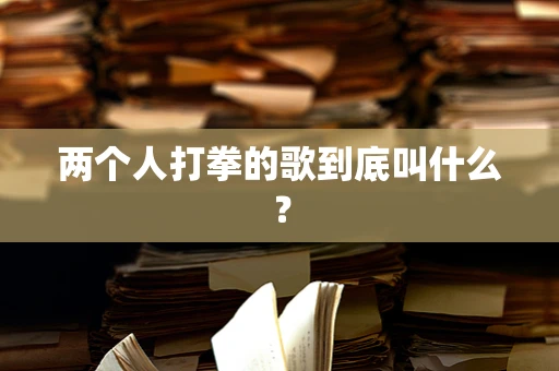 两个人打拳的歌到底叫什么？