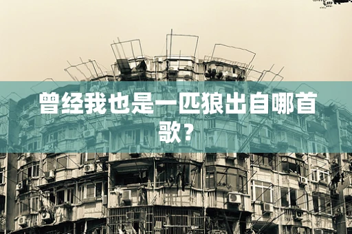 曾经我也是一匹狼出自哪首歌？