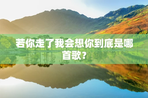 若你走了我会想你到底是哪首歌？