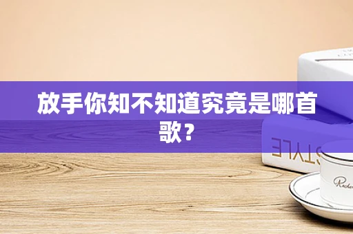 放手你知不知道究竟是哪首歌？