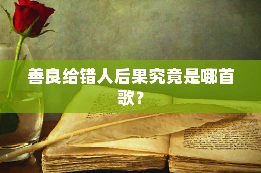 善良给错人后果究竟是哪首歌？