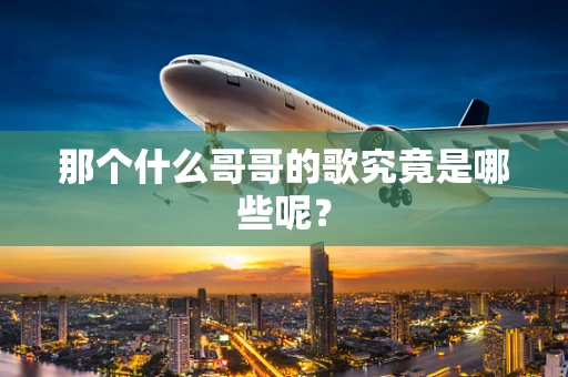 那个什么哥哥的歌究竟是哪些呢？