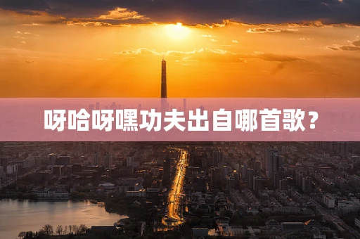 呀哈呀嘿功夫出自哪首歌？