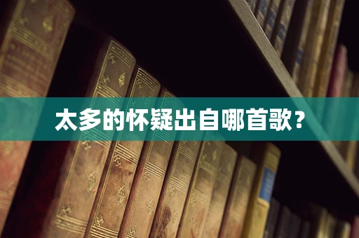 太多的怀疑出自哪首歌？