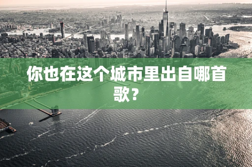 你也在这个城市里出自哪首歌？