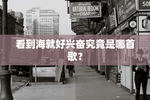 看到海就好兴奋究竟是哪首歌？