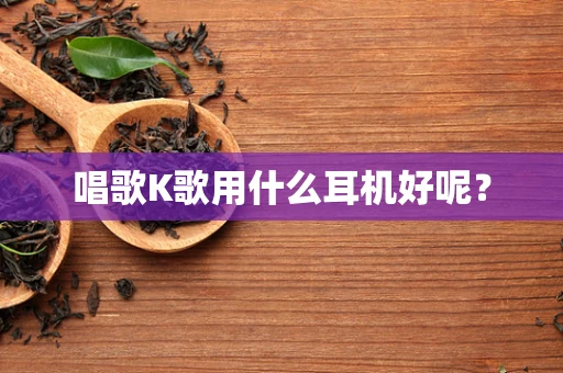 唱歌K歌用什么耳机好呢？