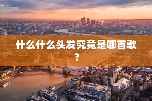 什么什么头发究竟是哪首歌？