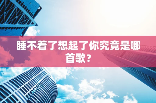 睡不着了想起了你究竟是哪首歌？
