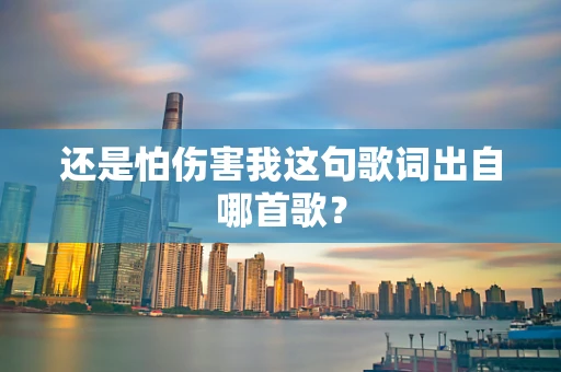 还是怕伤害我这句歌词出自哪首歌？