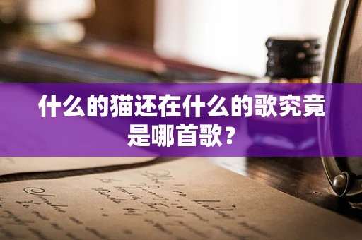 什么的猫还在什么的歌究竟是哪首歌？
