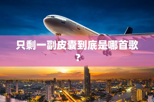 只剩一副皮囊到底是哪首歌？