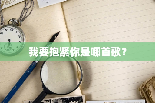 我要抱紧你是哪首歌？