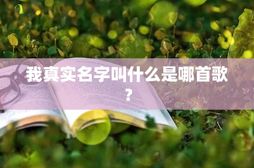 我真实名字叫什么是哪首歌？