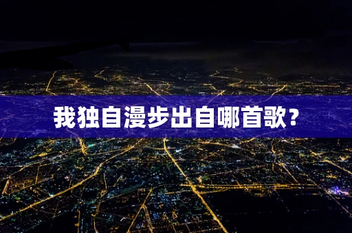 我独自漫步出自哪首歌？