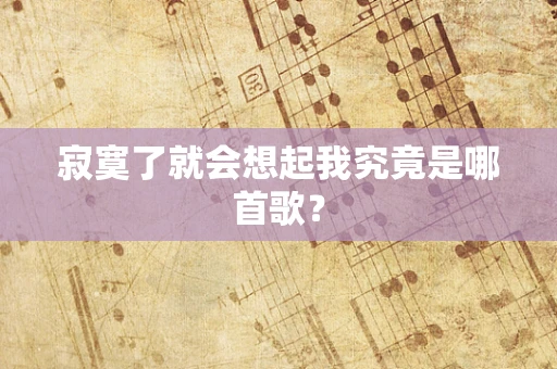 寂寞了就会想起我究竟是哪首歌？