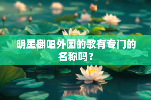 明星翻唱外国的歌有专门的名称吗？