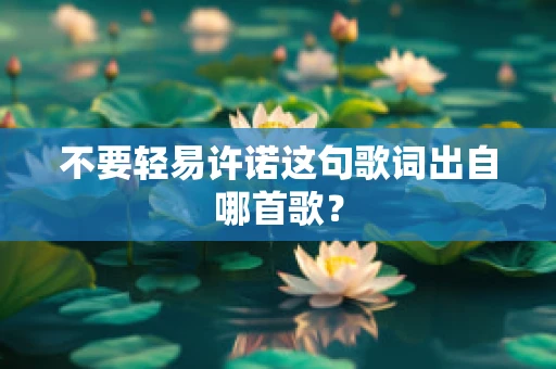 不要轻易许诺这句歌词出自哪首歌？