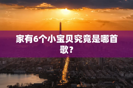 家有6个小宝贝究竟是哪首歌？