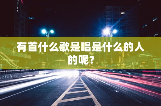 有首什么歌是唱是什么的人的呢？