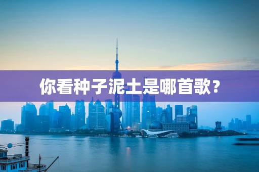 你看种子泥土是哪首歌？