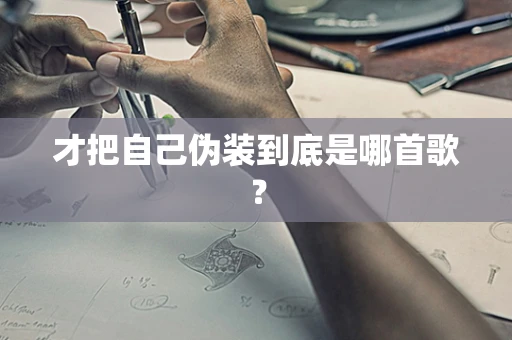 才把自己伪装到底是哪首歌？